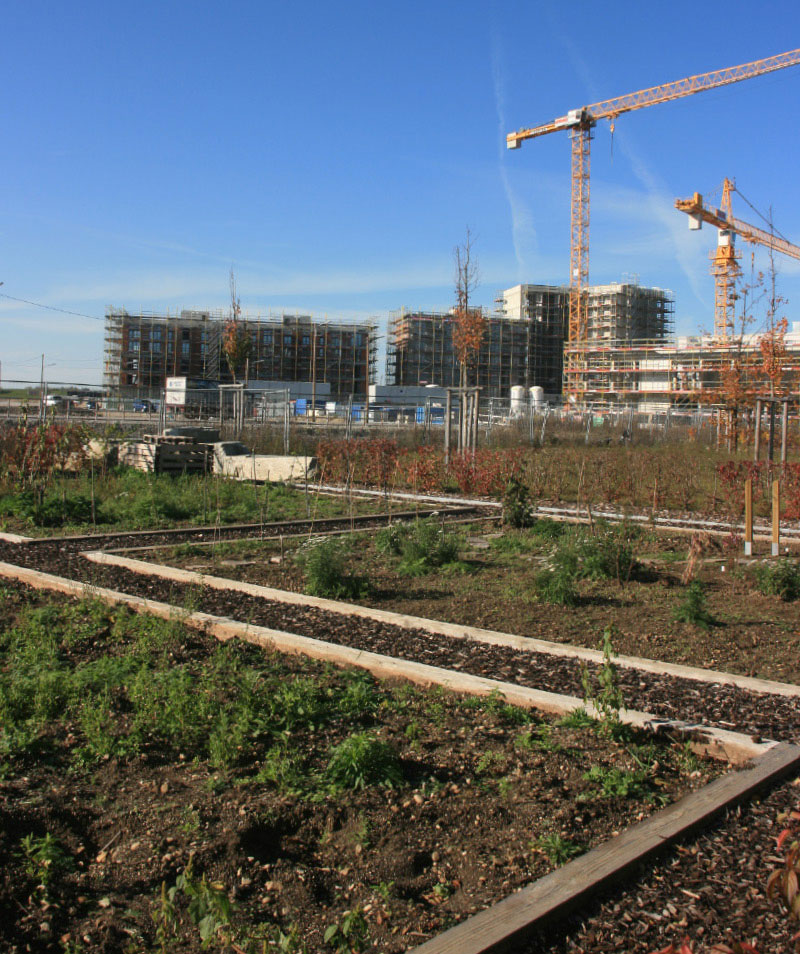 Freiluftgarten Freiham