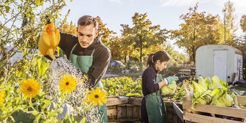 Menschen arbeiten im Garten